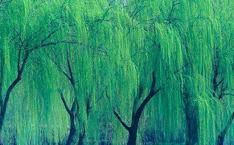 ���P��������ľ���20�l