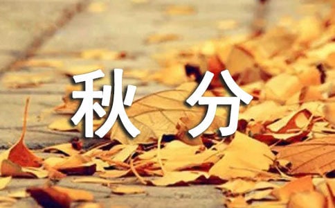 2016��ֺ�ʲô�����B(y��ng)��