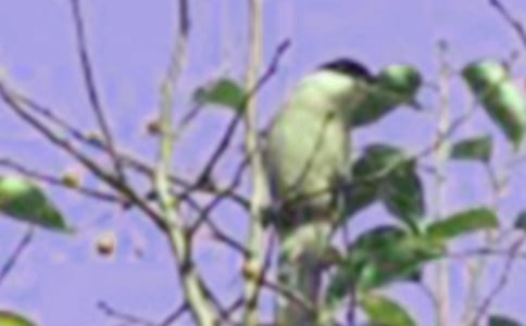 �茑С�B�ă����Z��