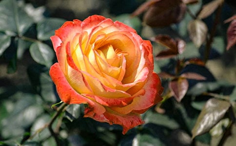 �����¼����ľ���49��