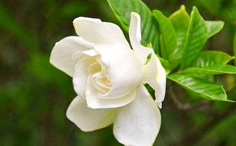 �d�ӻ��_�ľ���